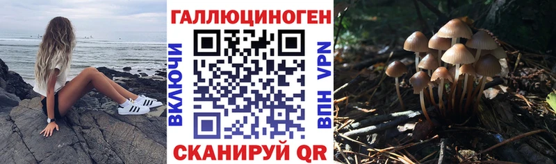 Галлюциногенные грибы GOLDEN TEACHER  Фокино 