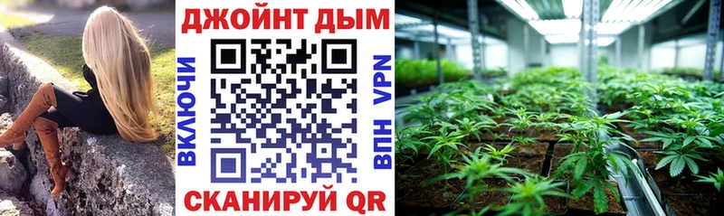 даркнет сайт  Фокино  Шишки марихуана сатива 